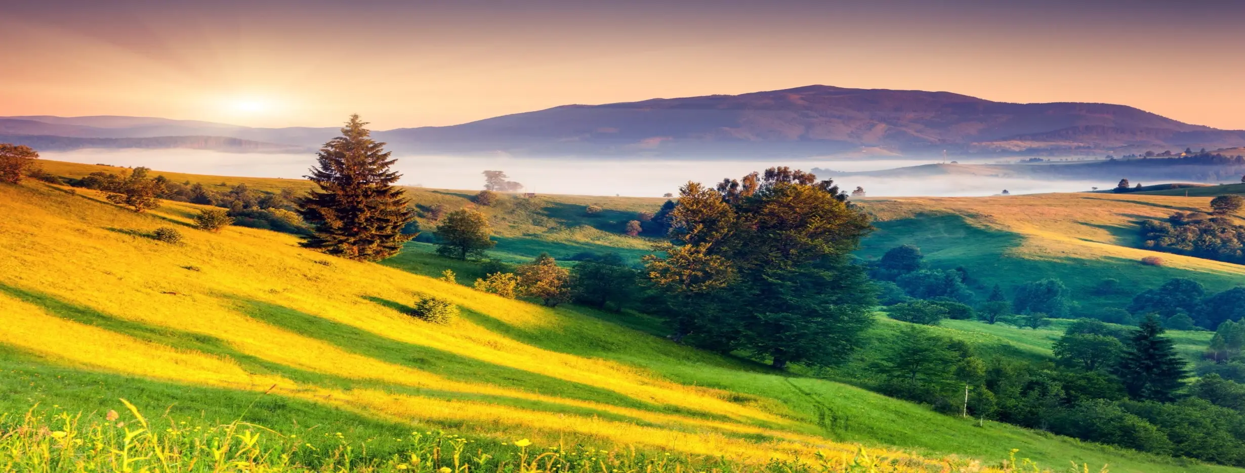 Image for Scenic Natural Landscapes